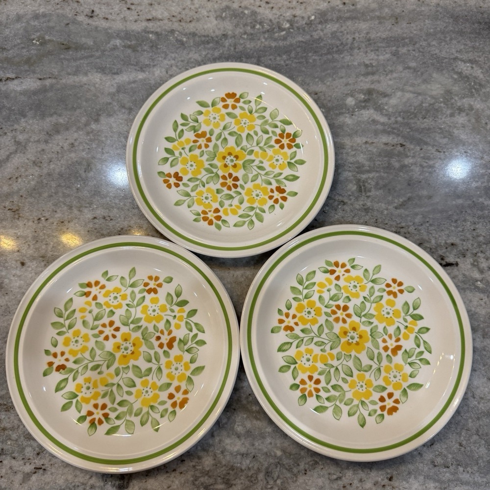 VTG JCPenney Iron Stone 3 Dinner Plates Nature's Bounty 10" Mid Century Flower